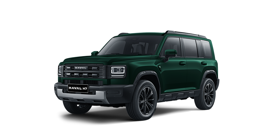 COLOUR SELECTOR H7 GREEN