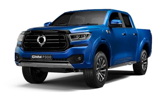 GWM P300 ls jellybean.