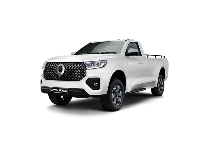 GWM P300SX models jellybean