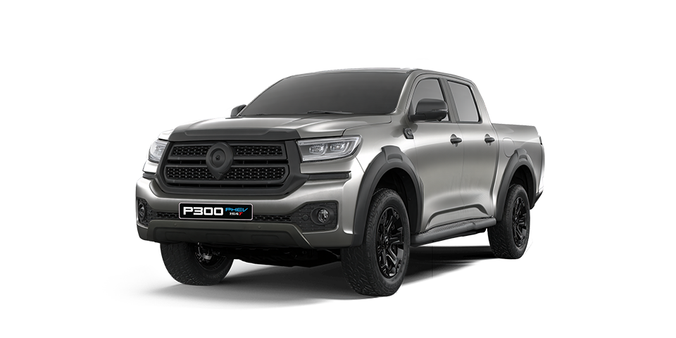 COLOUR SELECTOR P300 PHEV SILVER