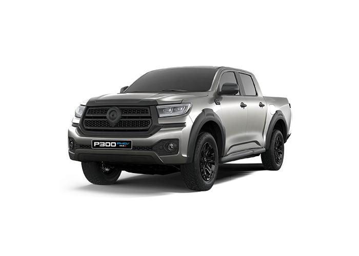 P300 PHEV MODEL
