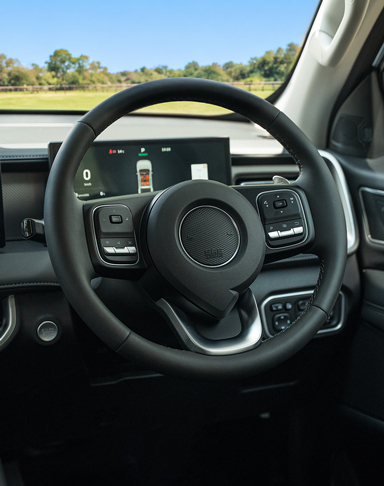 P300 PHEV WEB INT 4