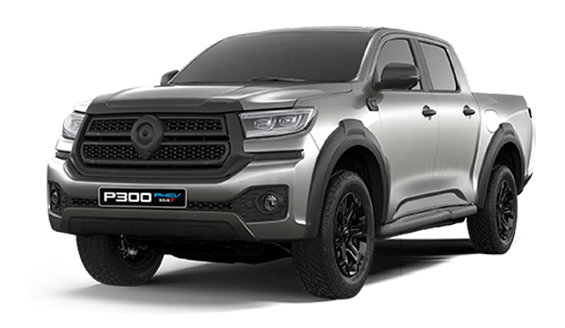 P300 PHEV OFFERS