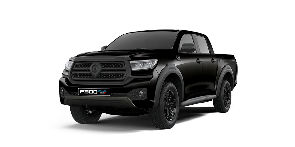 COLOUR SELECTOR P300 PHEV BLACK
