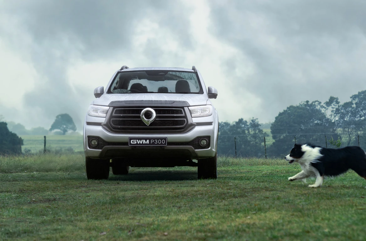 Popular LCV